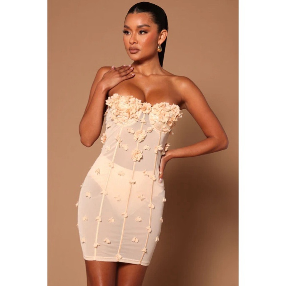 Amelia Rose Corset Mini Dress NWT